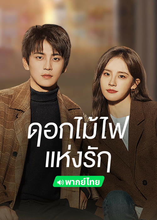 Falling Before Fireworks ดอกไม้ไฟแห่งรัก