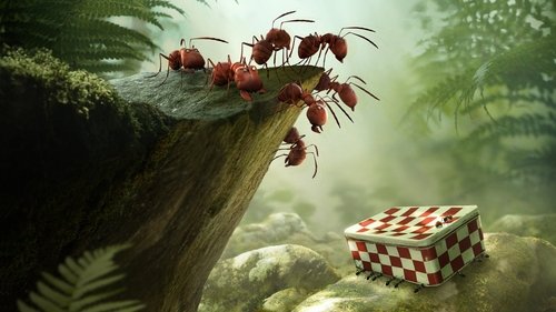 Minuscule Valley of the Lost Ants (2013) หุบเขาจิ๋วของเจ้ามด